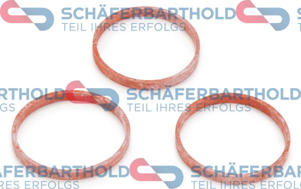 Schferbarthold 313 27 102 01 11 - Комплект прокладок, впускной коллектор www.autospares.lv