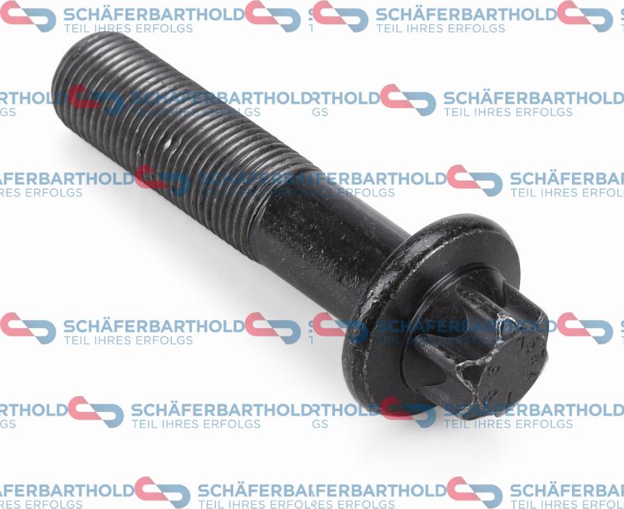 Schferbarthold 317 08 292 01 11 - Болт, шестерня - коленчатый вал www.autospares.lv