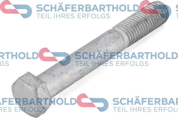 Schferbarthold 317 18 558 01 11 - Болт, поперечный рычаг подвески www.autospares.lv