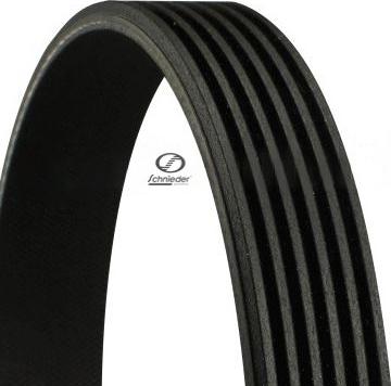 SCHNIEDER AUTOTECH SH6PK2050 - V-Belt www.autospares.lv