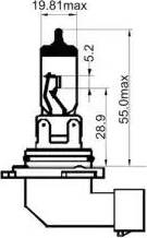 SCT-MANNOL 202990 - Kvēlspuldze, Pamatlukturis www.autospares.lv