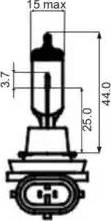 SCT-MANNOL 202617 - Bulb, fog light www.autospares.lv