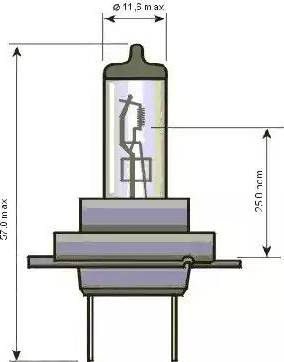 SCT-MANNOL 202174 - Bulb, spotlight www.autospares.lv