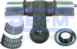 Sem Lastik 10756 - Remkomplekts, Bremžu suports www.autospares.lv