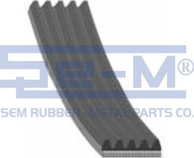 Sem Lastik 11675 - Поликлиновой ремень www.autospares.lv