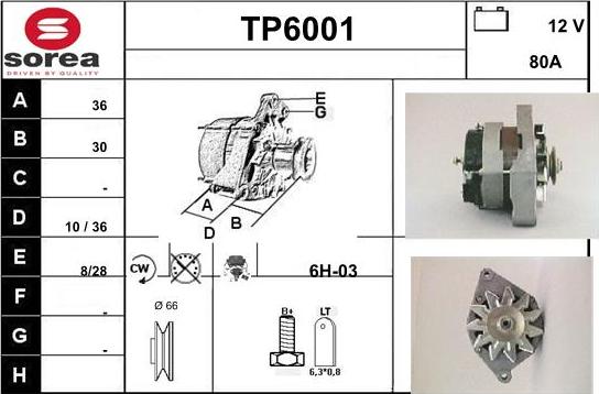 Sera TP6001 - Генератор www.autospares.lv