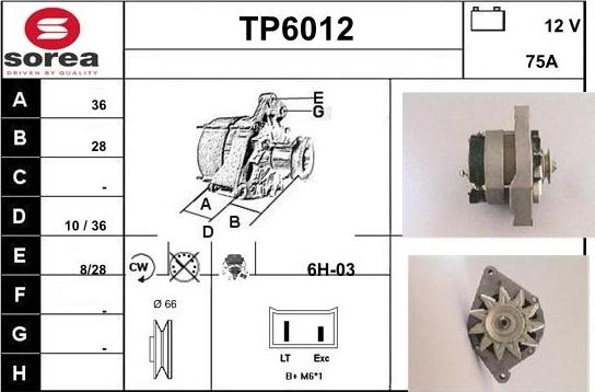 Sera TP6012 - Генератор www.autospares.lv