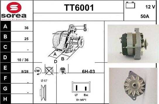 Sera TT6001 - Генератор www.autospares.lv