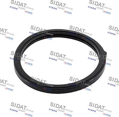 Sidat 94.01698 - Blīve, Termostats autospares.lv