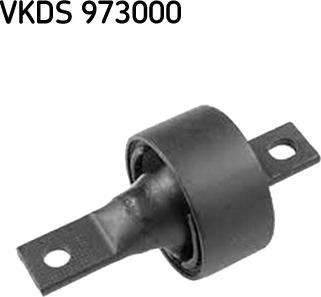 SKF VKDS 973000 - Tilta sija www.autospares.lv