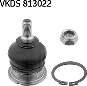 SKF VKDS 813022 - Ball Joint www.autospares.lv