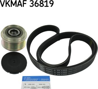 SKF VKMAF 36819 - Ķīļrievu siksnu komplekts www.autospares.lv