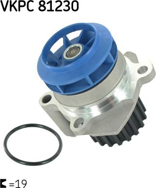 SKF VKPC 81230 - Ūdenssūknis autospares.lv