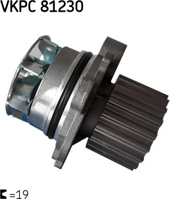 SKF VKPC 81230 - Ūdenssūknis autospares.lv