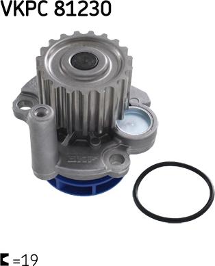 SKF VKPC 81230 - Ūdenssūknis autospares.lv