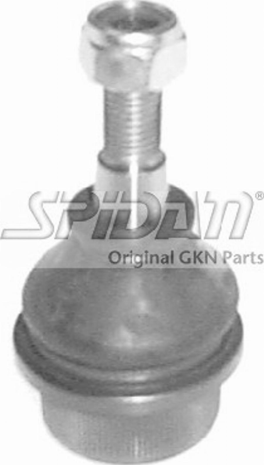 Spidan 46205 - Balst / Virzošais šarnīrs www.autospares.lv