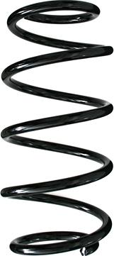 Spidan 55981 - Coil Spring www.autospares.lv