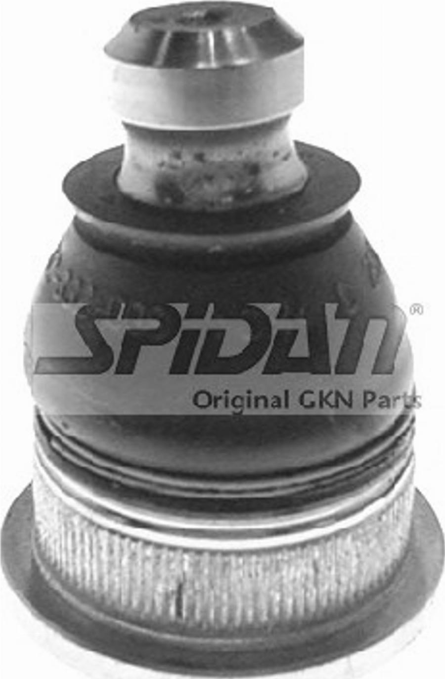 Spidan 57012 - Balst / Virzošais šarnīrs www.autospares.lv