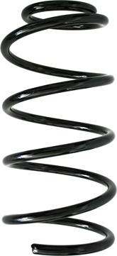 Spidan 85884 - Coil Spring www.autospares.lv