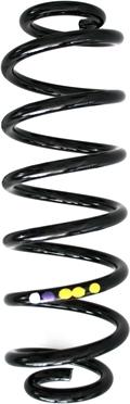 Spidan 86484 - Coil Spring www.autospares.lv