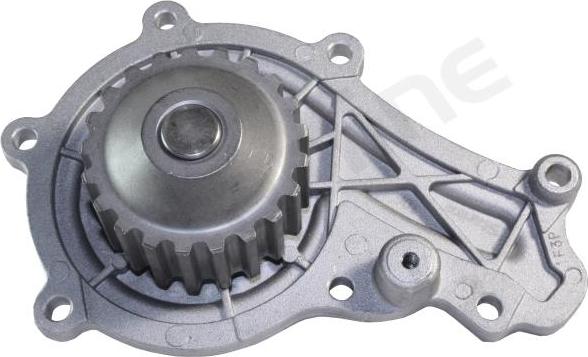 Starline VP P137 - Water Pump www.autospares.lv