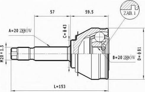 Statim C.005 - Šarnīru komplekts, Piedziņas vārpsta www.autospares.lv