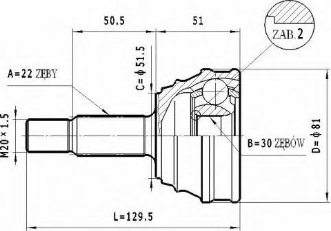 Statim C.319 - Šarnīru komplekts, Piedziņas vārpsta www.autospares.lv