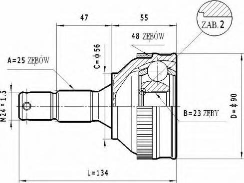 Statim C.260 - Šarnīru komplekts, Piedziņas vārpsta www.autospares.lv