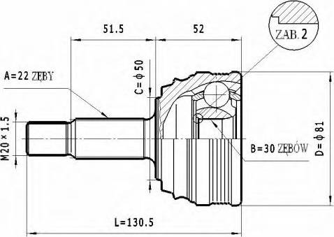 Statim C.285 - Šarnīru komplekts, Piedziņas vārpsta www.autospares.lv