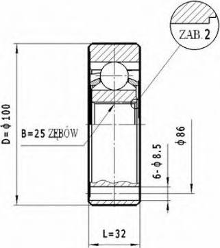 Statim CW.038 - Šarnīru komplekts, Piedziņas vārpsta www.autospares.lv