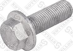 Stellox 89-00409-SX - Screw www.autospares.lv