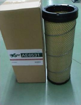 STEP FILTERS AE6531 - Gaisa filtrs www.autospares.lv