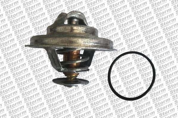 Storm 199069 - Coolant thermostat / housing www.autospares.lv