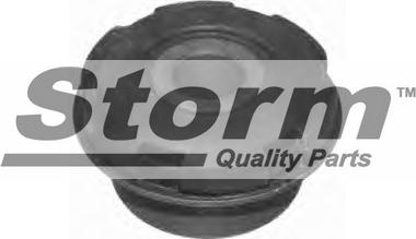 Storm F4143 - Bush of Control / Trailing Arm www.autospares.lv