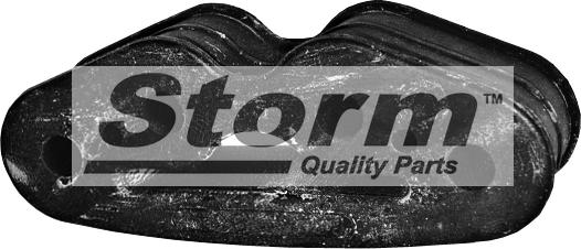 Storm F1359 - Holder, exhaust system www.autospares.lv