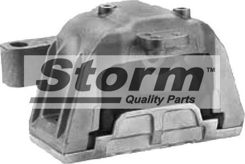 Storm F2571 - Piekare, Dzinējs www.autospares.lv