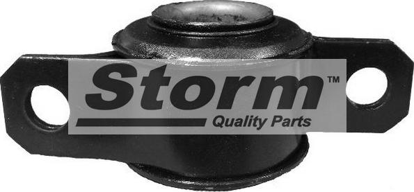 Storm F2873 - Сайлентблок, рычаг подвески колеса www.autospares.lv