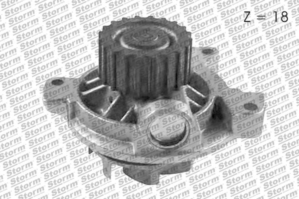 Storm PA10738 - Ūdenssūknis www.autospares.lv