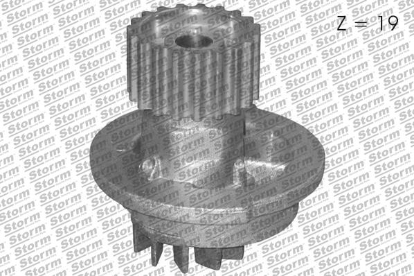 Storm PA11116 - Ūdenssūknis autospares.lv