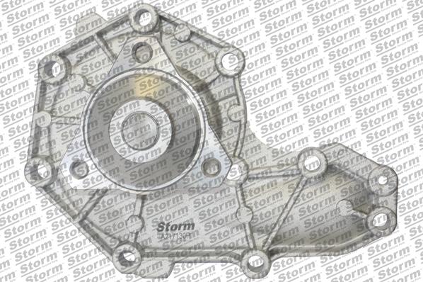 Storm RST179 - Ūdenssūknis autospares.lv