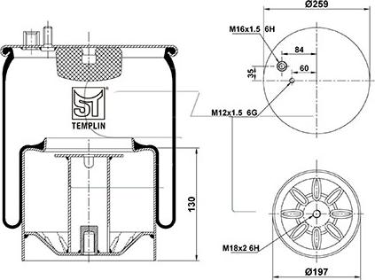 ST-Templin 04.060.6206.080 - Pneimoatsperes spilvens, Pneimopiekare www.autospares.lv