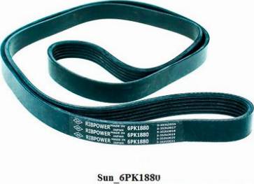 SUN 6PK1880 - V-Ribbed Belt www.autospares.lv