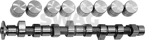 Swag 10 32 0008 - Camshaft Kit www.autospares.lv