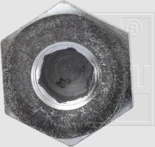 SWGAutomotive 243 114 125 16 - Korķis, Eļļas vācele www.autospares.lv