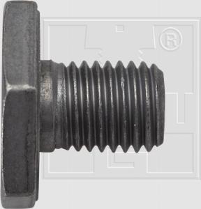 SWGAutomotive 243 110 125 16 - Резьбовая пробка, масляный поддон www.autospares.lv