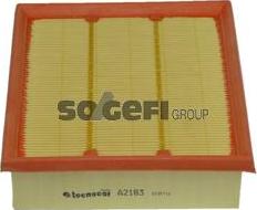 Tecnocar A2183 - Air Filter, engine www.autospares.lv