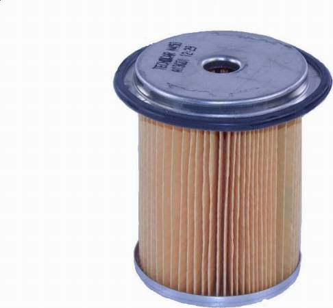 Tecnocar N450 - Fuel filter www.autospares.lv