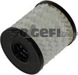 Tecnocar OP251A - Oil Filter www.autospares.lv