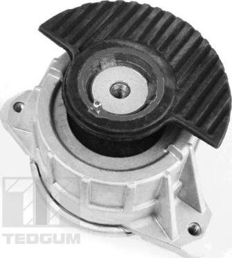 Tedgum 00418476 - Piekare, Dzinējs www.autospares.lv