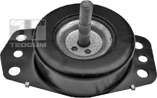 Tedgum 00505737 - Piekare, Dzinējs www.autospares.lv